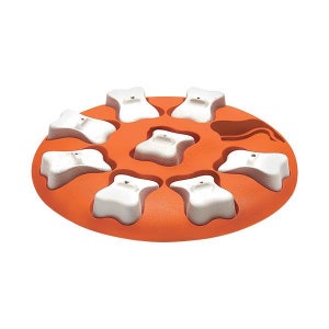 Interactive game - Intelligence game for dogs - Level 1