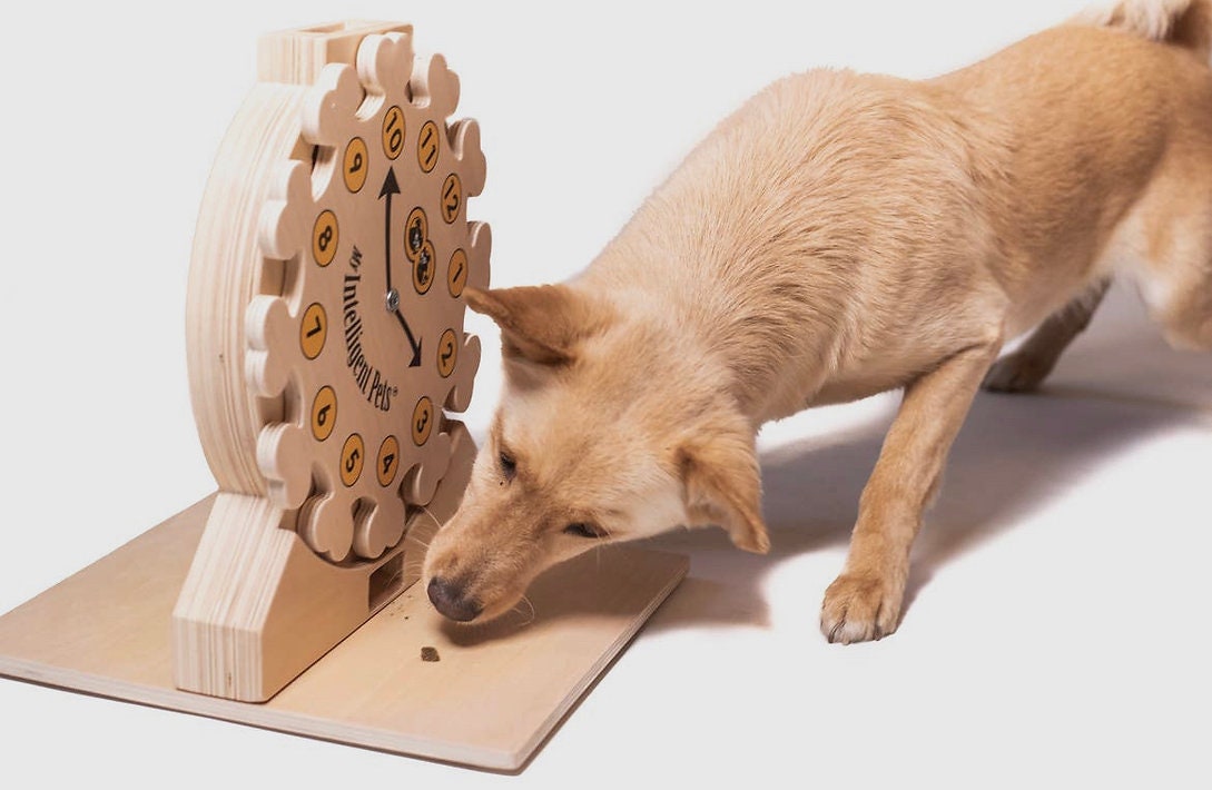 The Clock Interactive Puzzles for Dogs My Intelligent Dog 