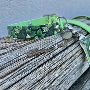 May include: A green leaf print dog collar and matching leash with silver hardware. The collar has a silver buckle and a silver D-ring. The leash has a silver clip.