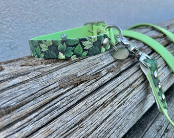 Conjunto de collar y correa en biotano liso y estampado - patrón follaje