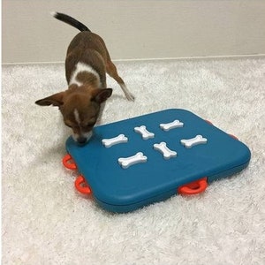 May include: A blue and orange dog puzzle toy with white bone-shaped puzzle pieces. A small brown and white dog is interacting with the toy.