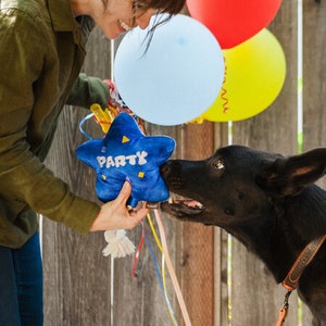 May include: A woman holds a blue star-shaped dog toy with the word "PARTY" on it, as a black dog reaches for it. Three balloons in red, light blue, and yellow float in the background. The dog wears a brown leather collar.