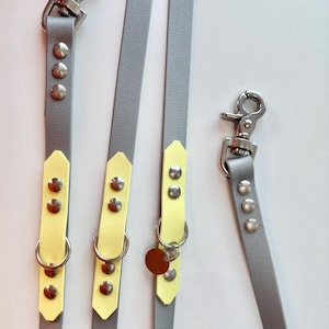 Può includere: Una collezione di guinzagli per cani grigi e gialli con hardware color argento. I guinzagli hanno un cinturino grigio con dettagli gialli e rivetti argentati. Ogni guinzaglio ha un moschettone argentato.