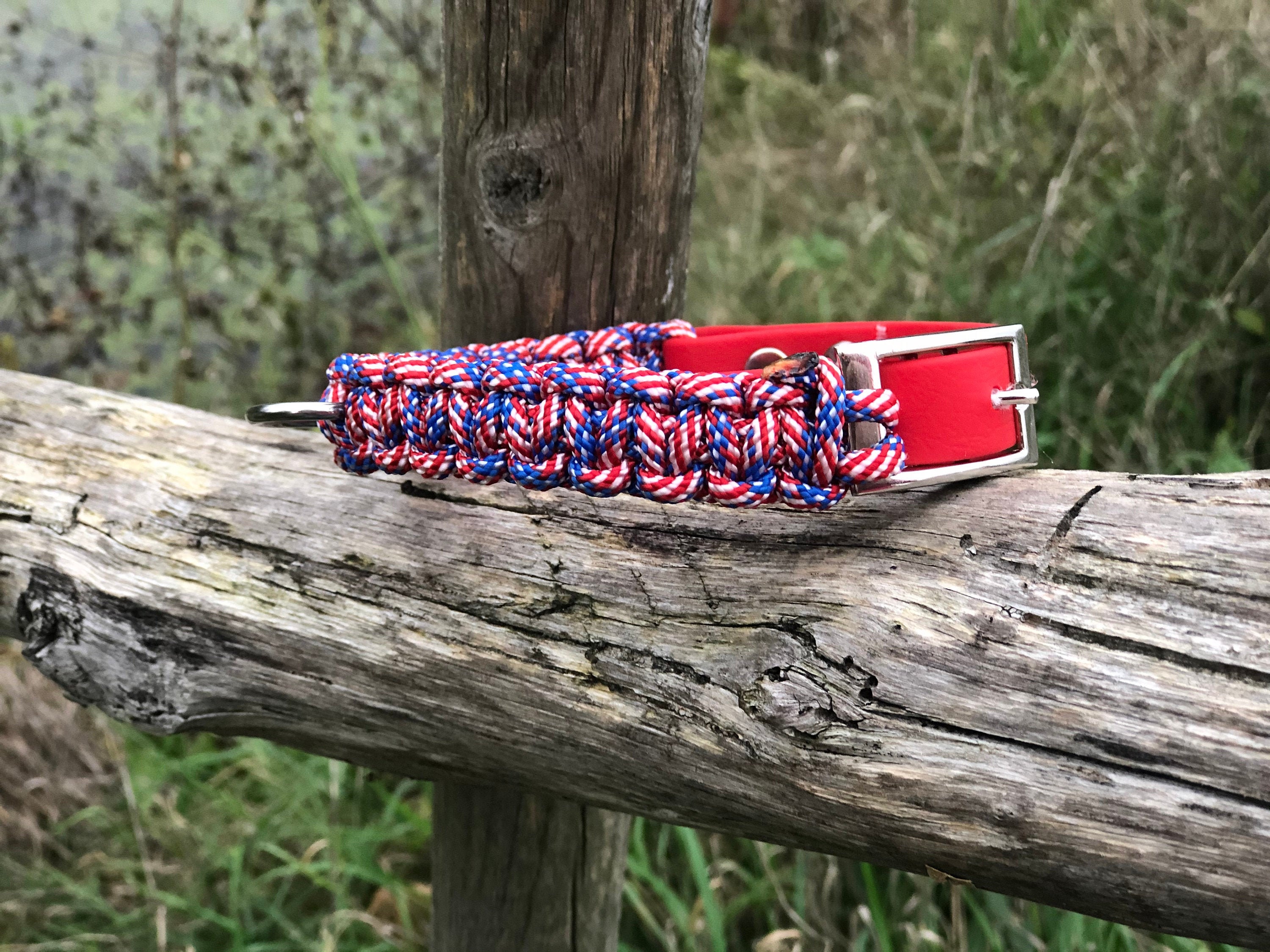 Collier Pour Chien Paracorde Corde Us et Biothane à Personnaliser - Laisse en Escalade Dog Leash