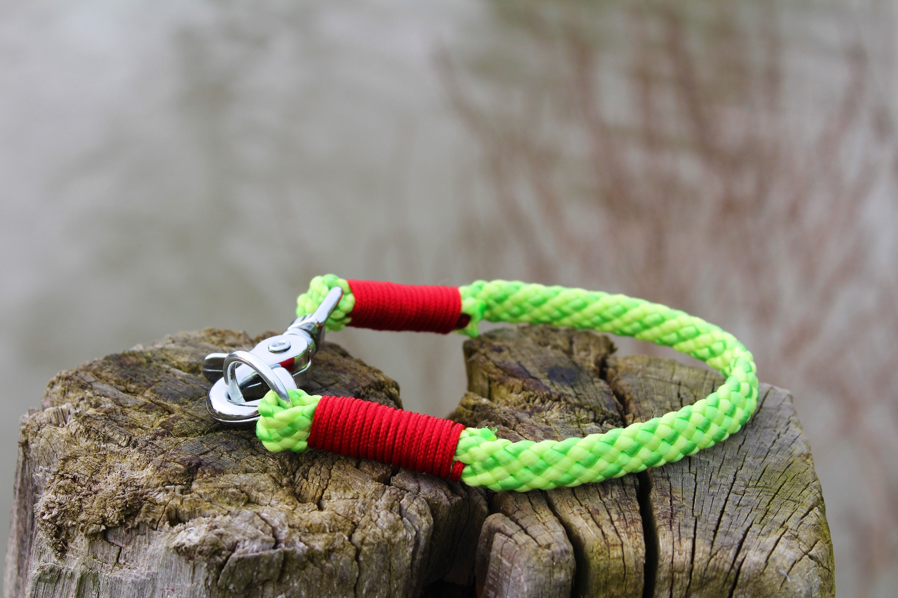 Collier Vert à Personnaliser - Collier Pour Chien en Corde Paracorde Accessoire France