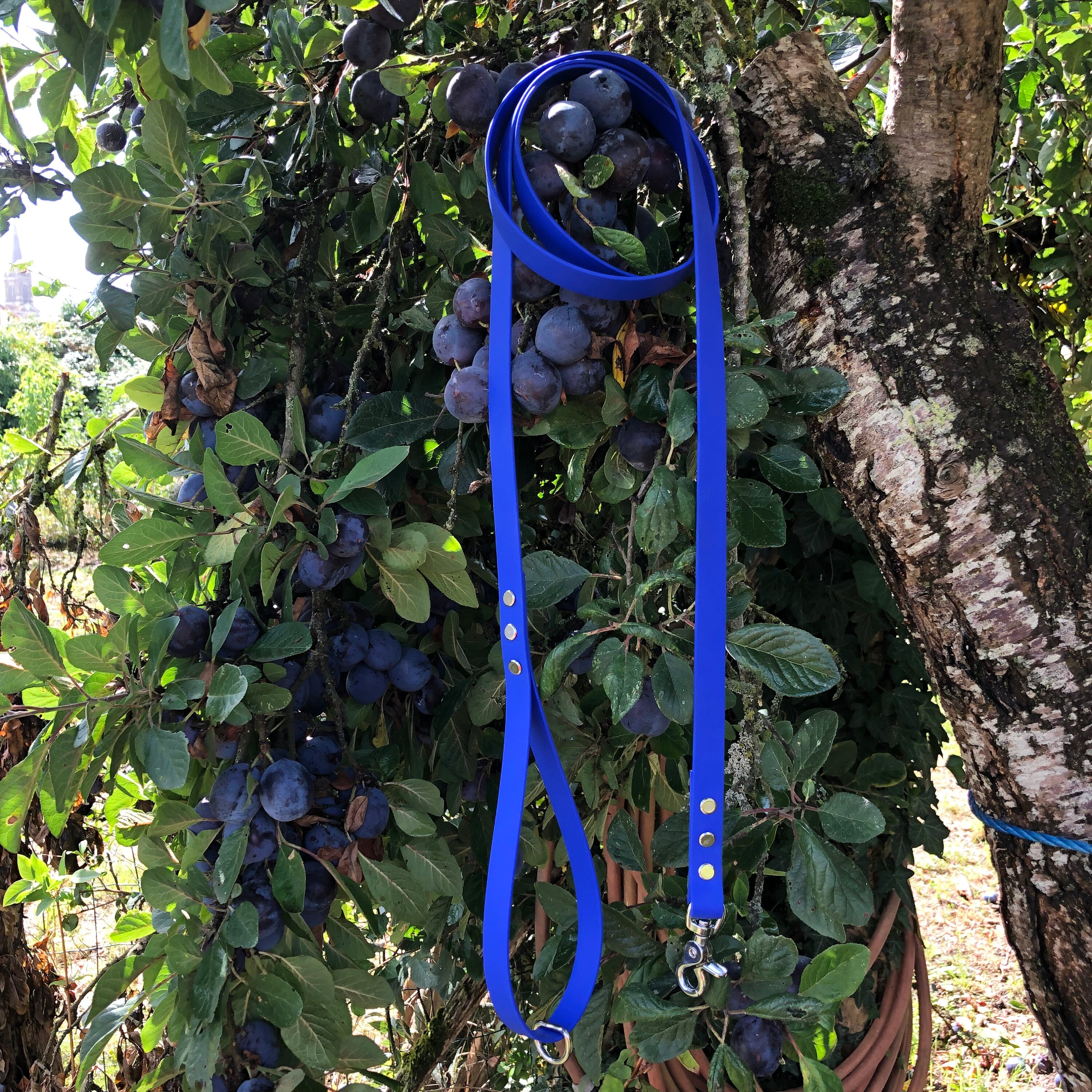 Laisse en Biothane - Longe à Personnaliser 100% Biothane- Biothane