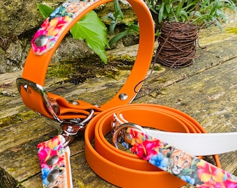 Collar and leash set in plain biothane and printed biothane - cheetah pattern