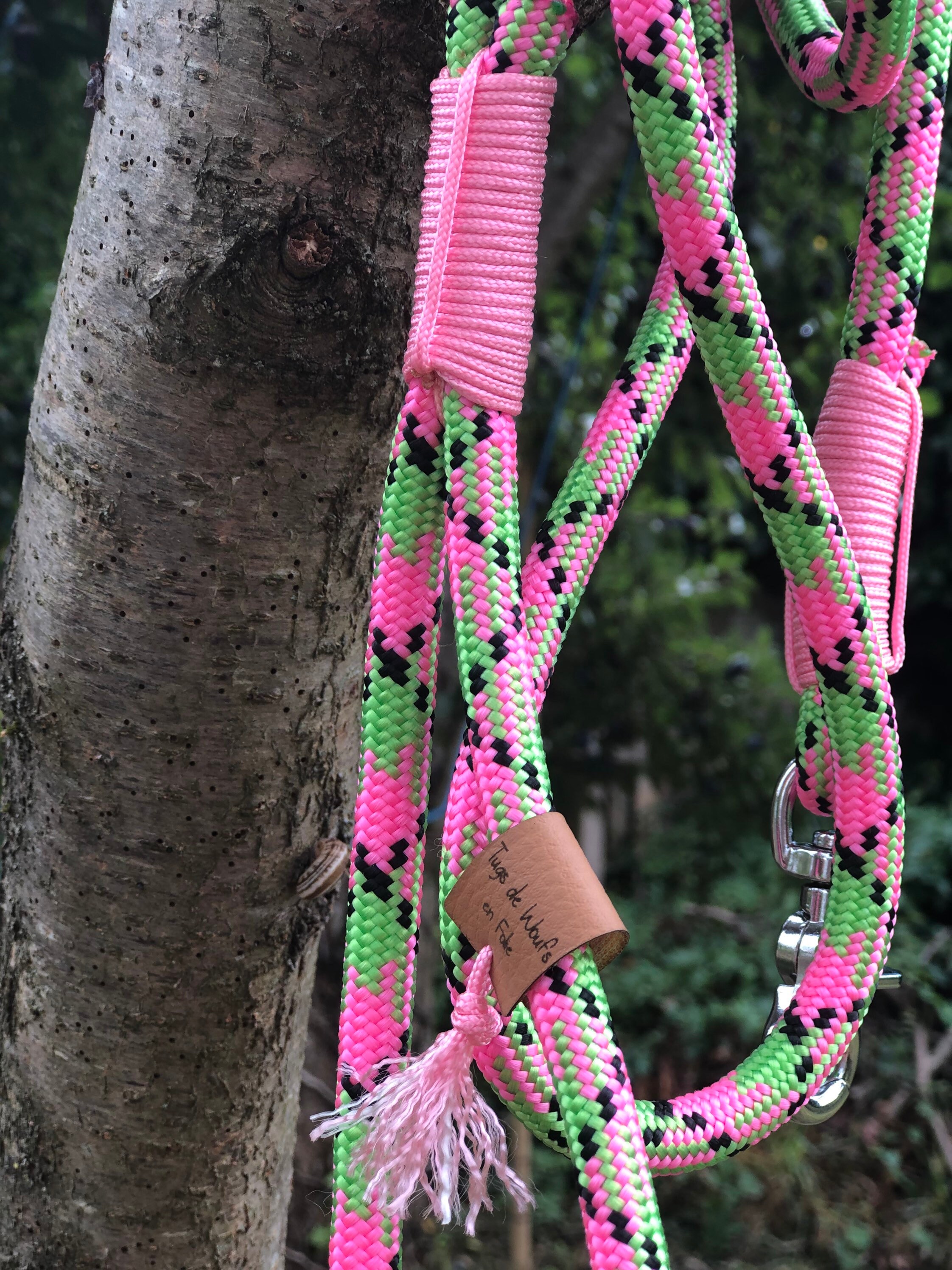 Laisse Pour Chien Rose et Verte 10 mm - Laisse en Corde Paracorde -Escalade-Dog Leash Accessoire Fra