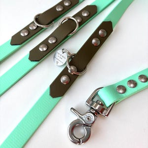 May include: Mint green and brown dog leash set. The leashes have a mint green strap with brown leather accents, secured with silver rivets and metal hardware. A small tag is attached to one of the leashes.