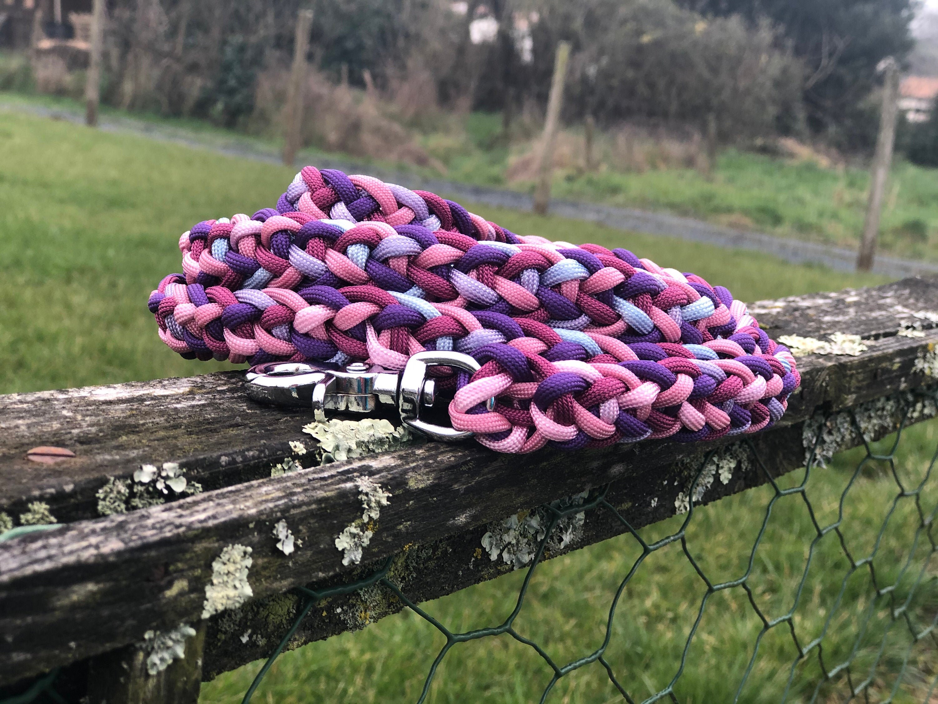 Laisse Longe de 2 Metres en Paracorde Pour Chien - Laisse Corde Escalade Dog Leash