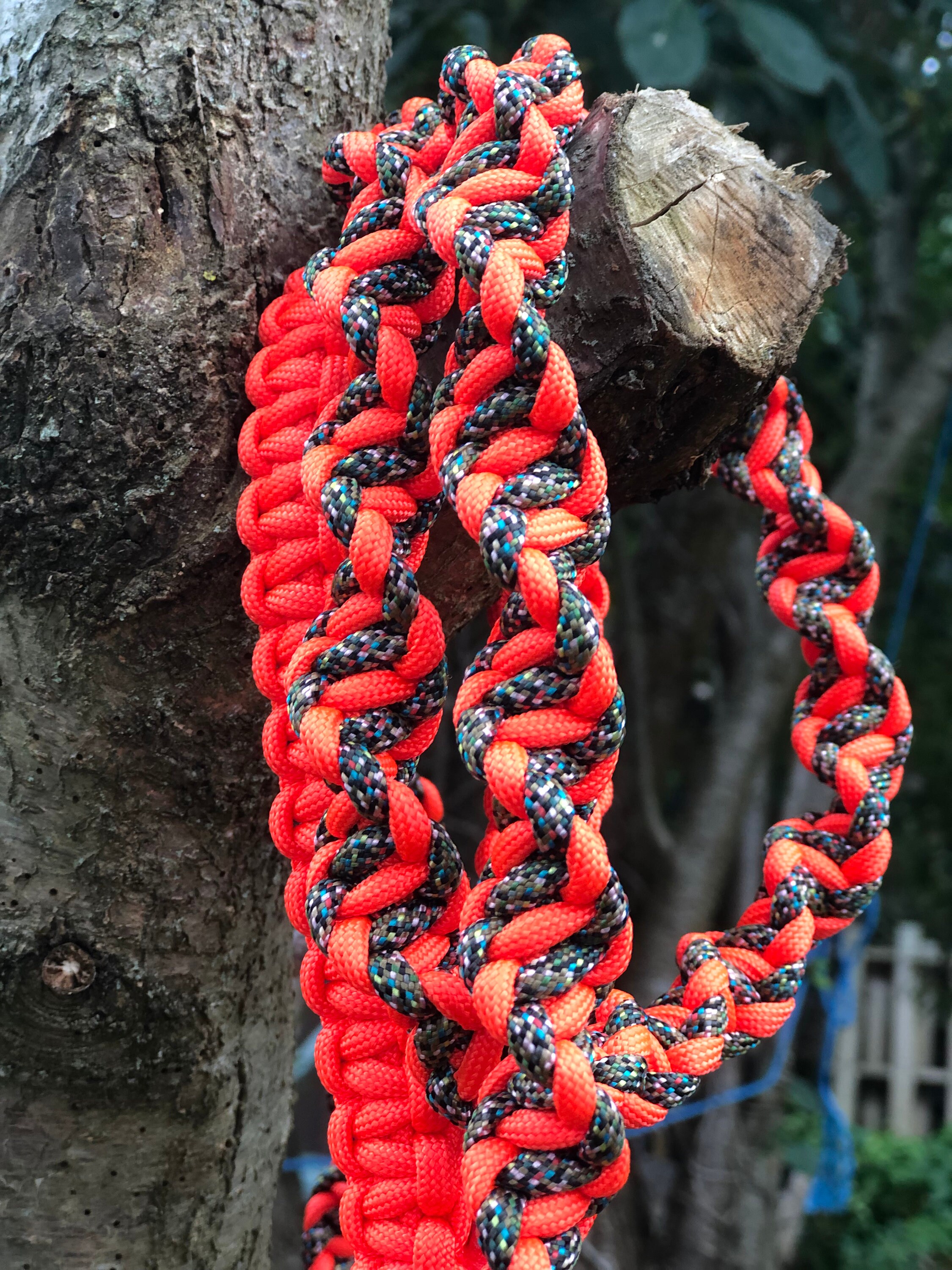 Laisse Pour Chien Paracorde Orange et Arc en Ciel Foncé- Laisse Corde - Escalade Dog Leash