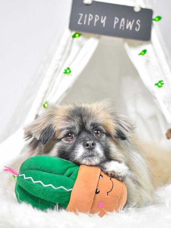Kaktus-Hundespielzeug - Etsy.de