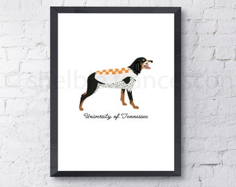 May include: A black and white dog wearing an orange and white checkered vest. The text "University of Tennessee" is below the dog.