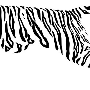Tiger Wall Mural Sticker, Vinyl Decal, Modern Transfer, Decor ...