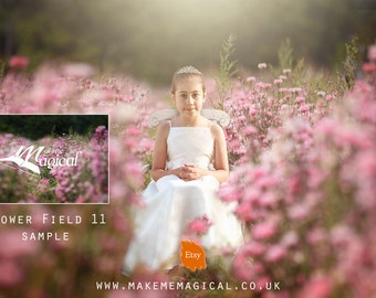 35 x jpegs, 2 x png, 2 x psd Confetti Flower Spring Digital Backgrounds, flower digital backdrops, summer fields backdrops