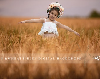 Confield digital backdrops, wheat field digital backgrounds, corn field backgrounds, corn and wheat field backdrop pack by Makememagical