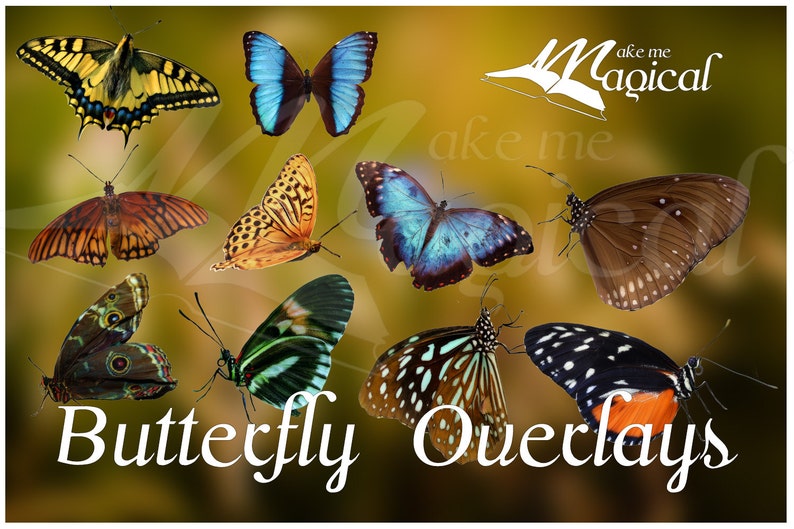 butterfly overlay aj