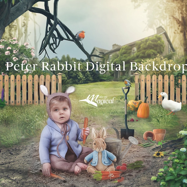 Peter Rabbit Backdrop - Etsy