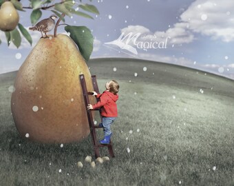 A Partridge in a Pear Tree Digital Backdrop, 12 days of Christmas digital background, Makememagical Xmas Digital Backdrop