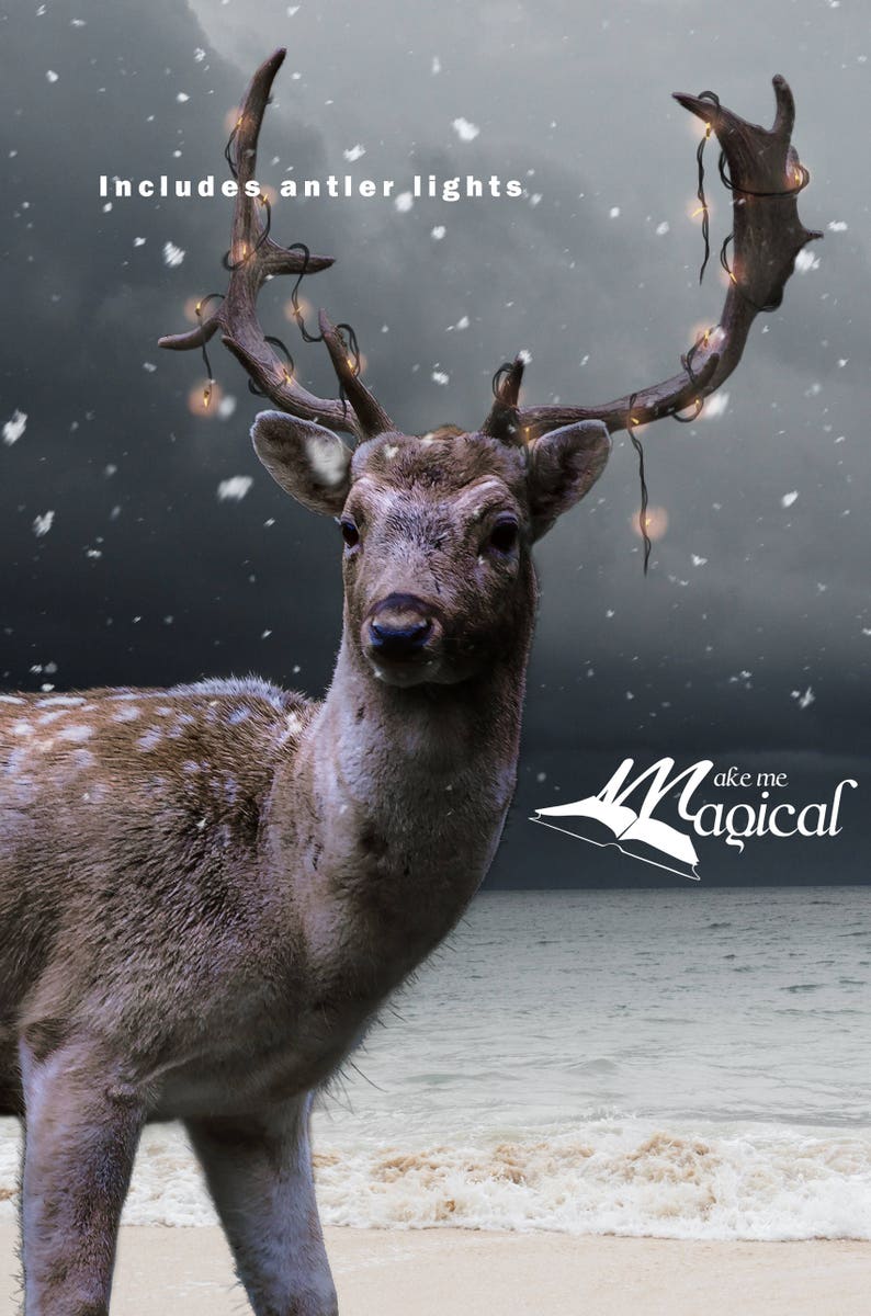Download Christmas Digital Overlay Mega Bundle Pack reindeer ...