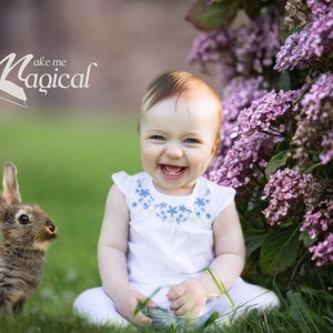 Easter spring bokeh pink floral garden with baby easter bunny rabbit digital backdrop by Makememagical.  Easter rabbit digital background