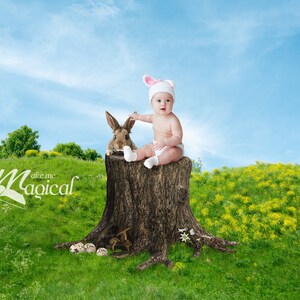 Easter bunny on tree log stump with mushrooms & eggs lush spring green grass field digital backdrop by Makememagical.  Digital Background