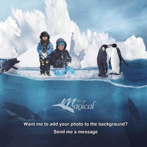 Digital Background | Digital Backdrop | Winter Backdrop | Iceberg Background | Penguin Background | Polar Backdrop | Ocean Backdrop | Snow