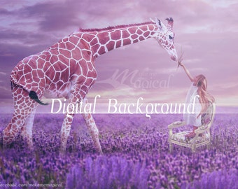 Lavender Field Background | Lavdender Digital Backdrop | Digital Backdrop | Digital Background | Lavender Field | Giraffe Backdrop | Digital