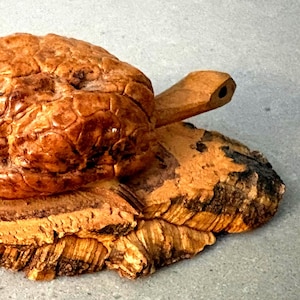Walnut Shell Bobble Turtle Figurine – Signed R. de Mijas, Spain Folk Art (4" x 1.5")