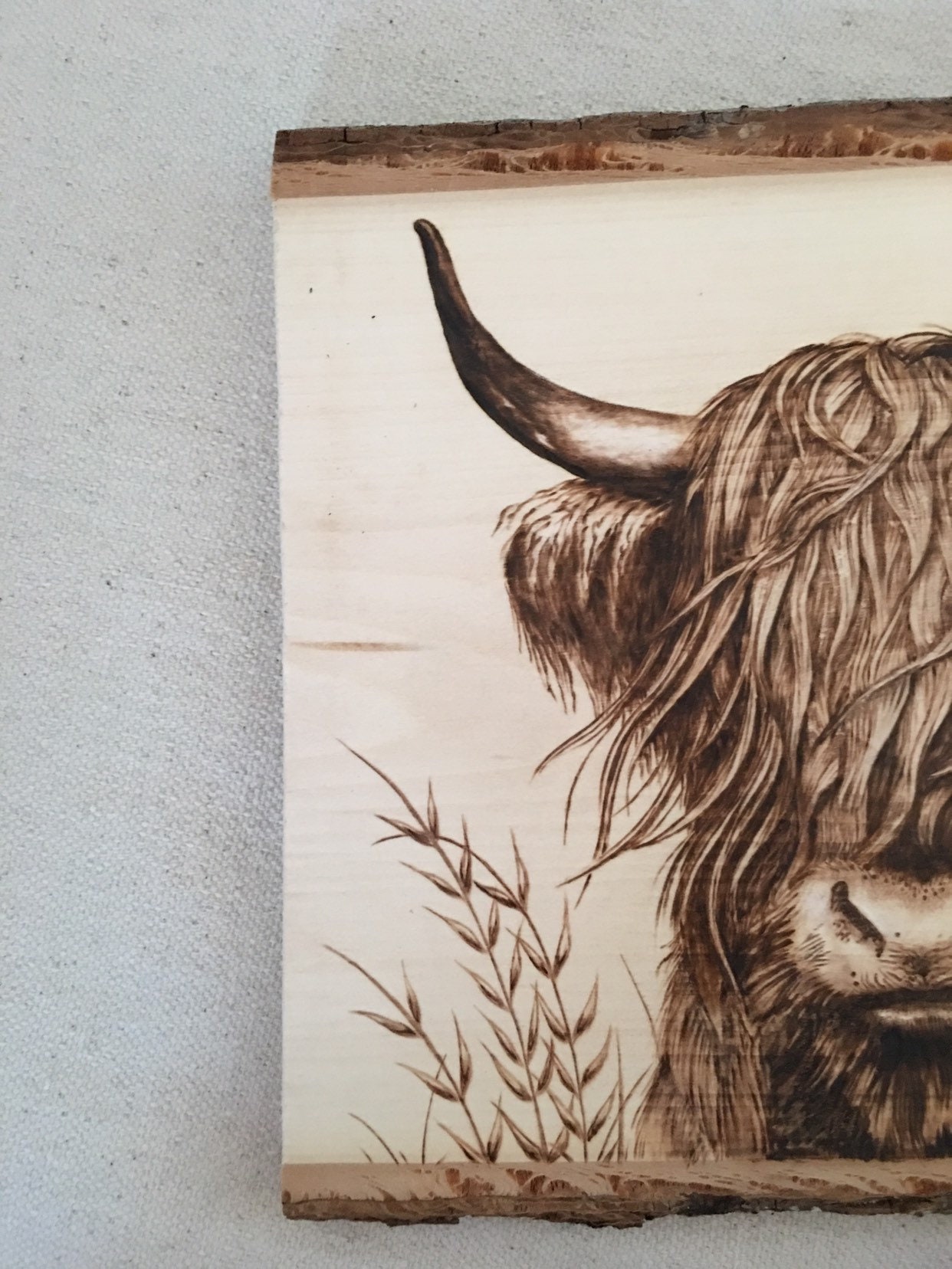 Highland Cow Wood Burning Art Original Art Wood Art Bohemian Etsy
