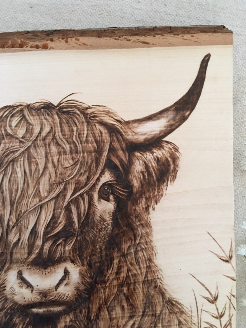 Highland Cow Wood Burning Art Original Art Wood Art Bohemian | Etsy