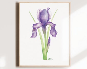 Iris flower poster, floral illustration, botanical watercolor art, pastel drawing art, women's gift, wall decoration, Katrinn Pelletier