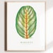 see more listings in the Alle section