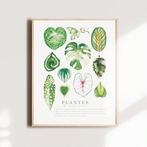 Affiche botanique feuilles plantes d'intérieur, illustration cadeaux amoureux plantes, art aquarelle, décoration murale, Katrinn Pelletier