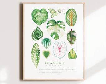 Affiche botanique feuilles plantes d'intérieur, illustration cadeaux amoureux plantes, art aquarelle, décoration murale, Katrinn Pelletier