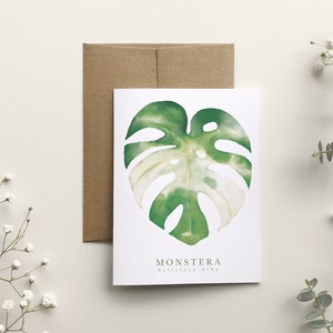 Carte de souhait feuille Monstera Albo, carte de voeux plante d'intérieur, art dessin botanique, illustration aquarelle, Katrinn Pelletier