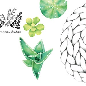Carte de voeux minis plantes succulentes / Carte de souhait dessin plante / Illustration plante et macramé / Aquarelle / Katrinn Pelletier zdjęcie 6