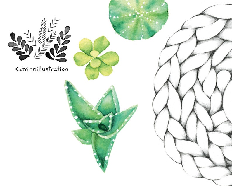 Carte de voeux minis plantes succulentes / Carte de souhait dessin plante / Illustration plante et macramé / Aquarelle / Katrinn Pelletier zdjęcie 6