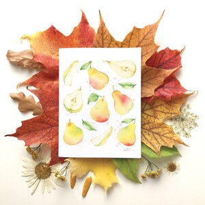 Carte de voeux motif fruité poires | carte de souhait fruit | fêtes anniversaire | cadeau culinaire | Dessin aquarelle | Katrinn pelletier Bild 2