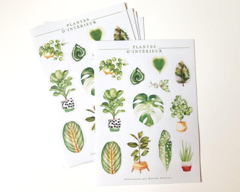 Sheet of illustrated vinyl stickers indoor plants, illustrated stickers, passion plant, green thumb, philodendron, Katrinn Pelletier image 2