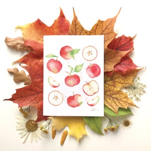 Carte de voeux motif fruité pommes | carte de souhait fruit | fêtes anniversaire | cadeau culinaire | Dessin aquarelle | Katrinn pelletier image 2