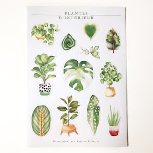 Sheet of illustrated vinyl stickers indoor plants, illustrated stickers, passion plant, green thumb, philodendron, Katrinn Pelletier image 1