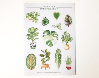 Sheet of illustrated vinyl stickers indoor plants, illustrated stickers, passion plant, green thumb, philodendron, Katrinn Pelletier