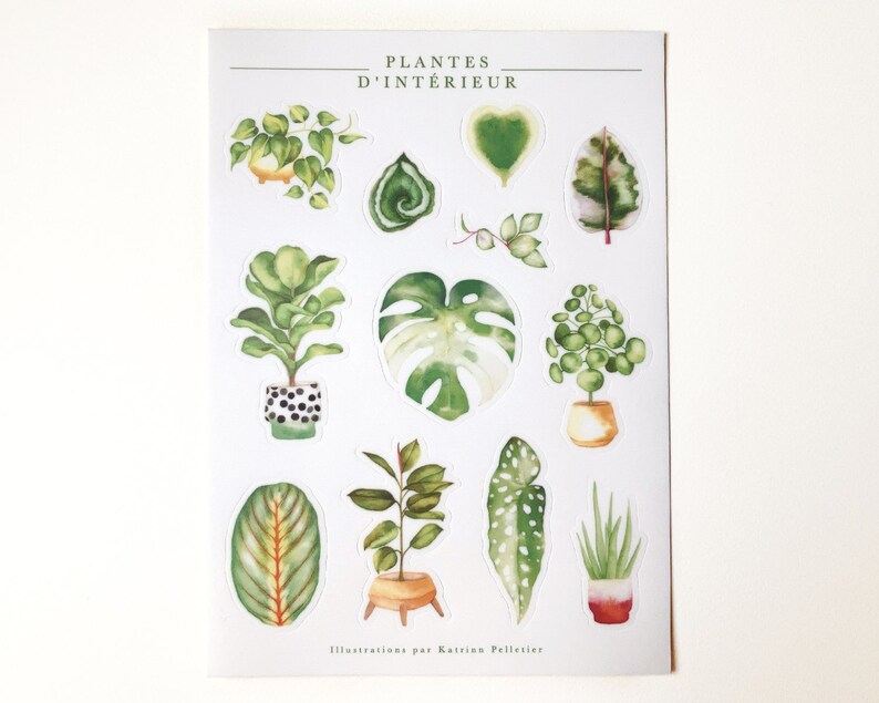 Sheet of illustrated vinyl stickers indoor plants, illustrated stickers, passion plant, green thumb, philodendron, Katrinn Pelletier image 1