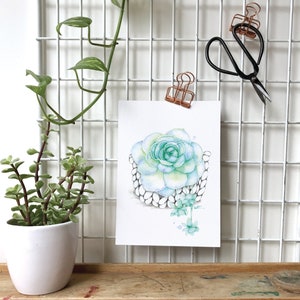 Watercolor illustration succulent plant / Poster Boho macramé plant / Art and Botanical collection / Drawing by Katrinn Pelletier image 4