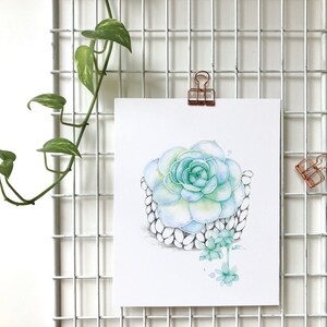 Watercolor illustration succulent plant / Poster Boho macramé plant / Art and Botanical collection / Drawing by Katrinn Pelletier image 8