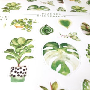 Sheet of illustrated vinyl stickers indoor plants, illustrated stickers, passion plant, green thumb, philodendron, Katrinn Pelletier image 4