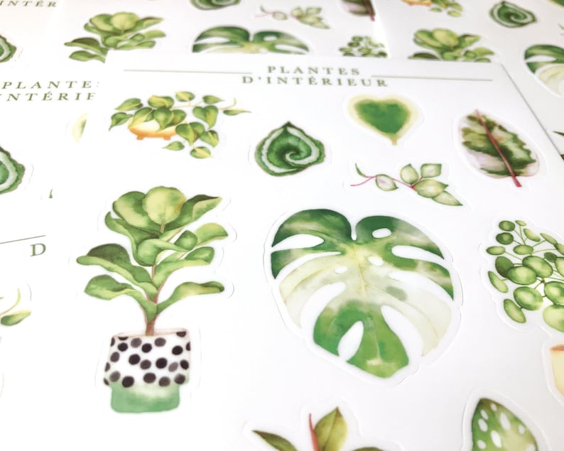Sheet of illustrated vinyl stickers indoor plants, illustrated stickers, passion plant, green thumb, philodendron, Katrinn Pelletier image 4