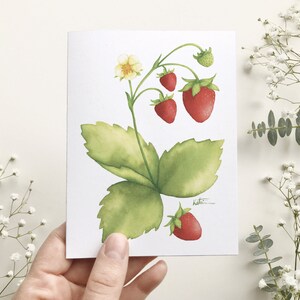 Carte de souhait fraises sauvages , carte de voeux fraises rouge , illustration petits fruits baies, dessin art botanique, Katrinn Pelletier afbeelding 2