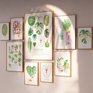 Houseplant heart poster, botanical leaf illustration, watercolor art, gift drawing, wall decoration, Katrinn Pelletier image 3
